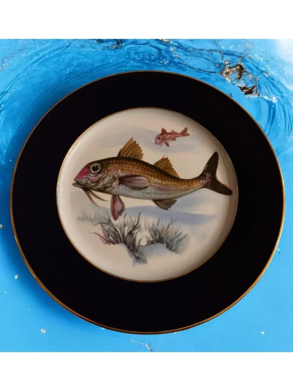 Set x 5 Vintage JWK Bavaria 10” Dinner Plates Fish Cobalt Gold Trim W. Germany
